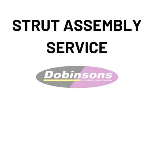 Dobinsons Front Strut Assembly - Service