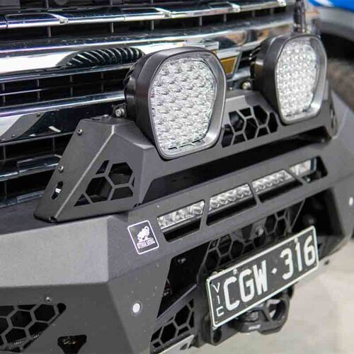 Offroad Animal Rally Hoop for Stedi Type X EVO [Predator Bar]